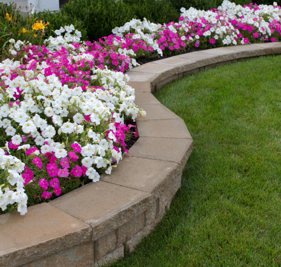 This is a picture of a flower bed with a small retaining wall.