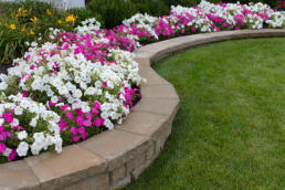 This is a picture of a flower bed with a small retaining wall.